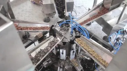 Pesatrice lineare modulare ad alta velocità a 10 teste con tramoggia da 0,5 l
